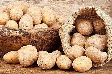 NVIDIA app更新至v11.0.4版 新增支持12款游戏